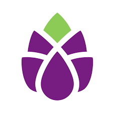 Artichoke Computing GmbH