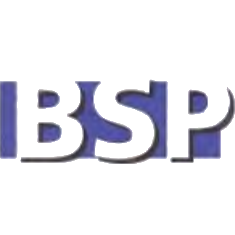 Business Services Partners AG