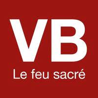 ViznerBorel GmbH