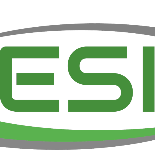 ESI S.P.A.