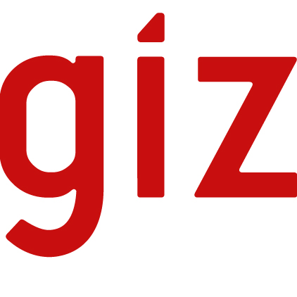 Deutsche Gesellschaft für Internationale Zusammenarbeit (GIZ), develoPPP.de