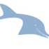 Delphin Amazonia AG