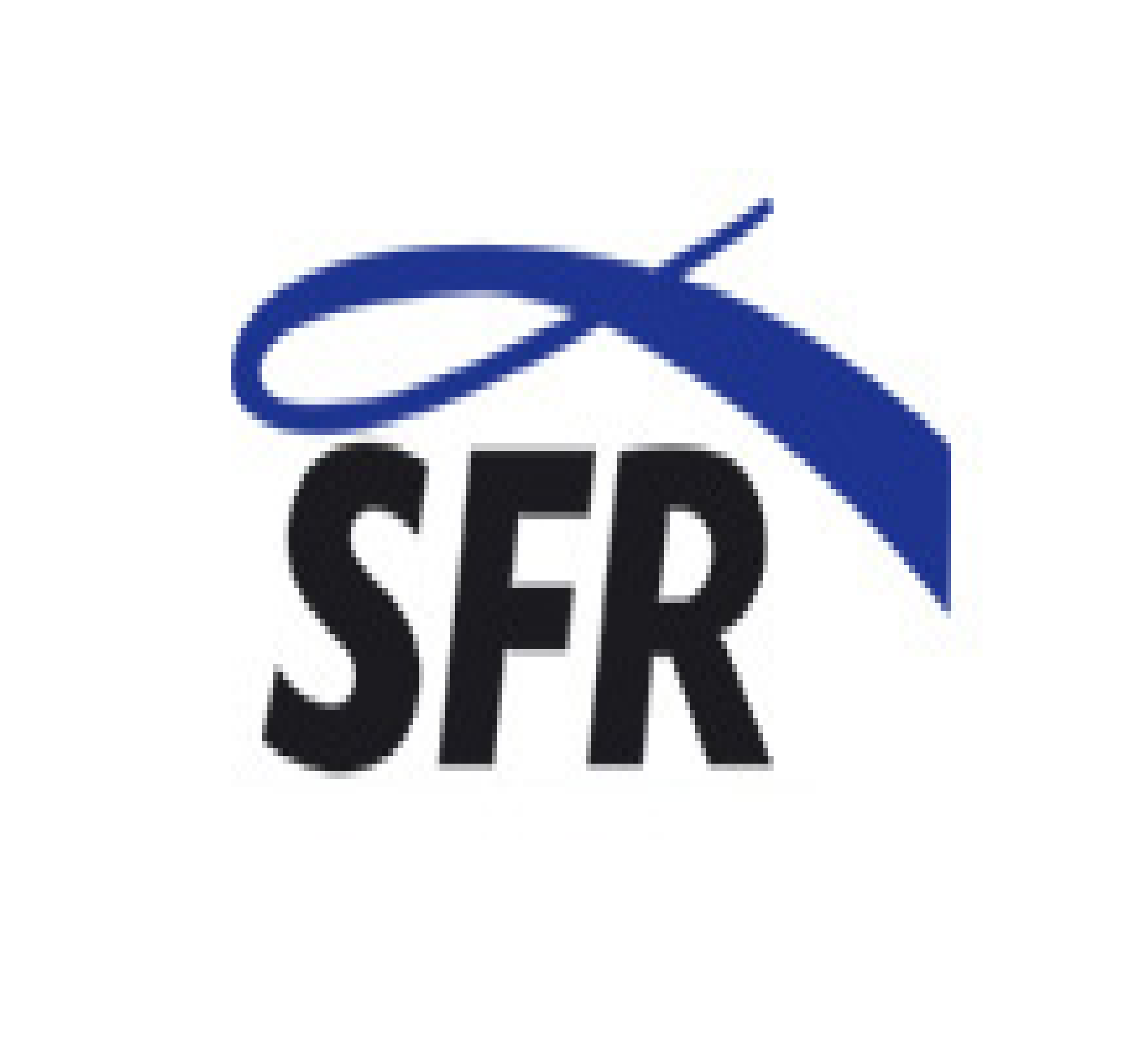 SFR Industrietechnik GmbH