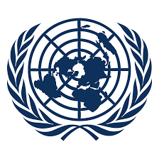 United Nations (UNDSS)