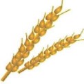 IDK Commodities