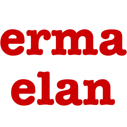 erma elan engineering ag