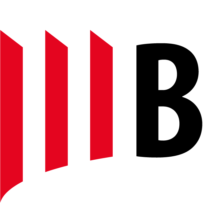 Bergauer & Partner AG