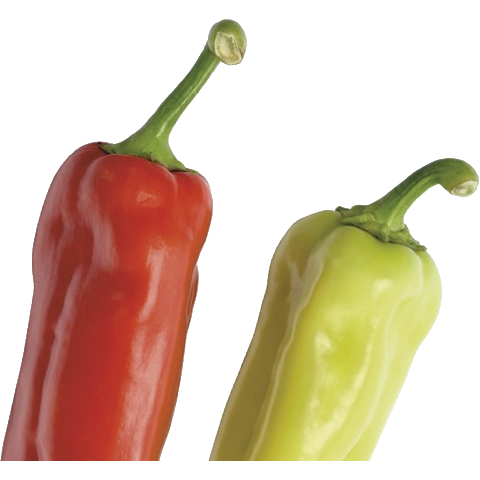 Paprika – Restaurant und Catering