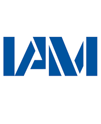 Institut für allgemeine Mechanik (IAM)