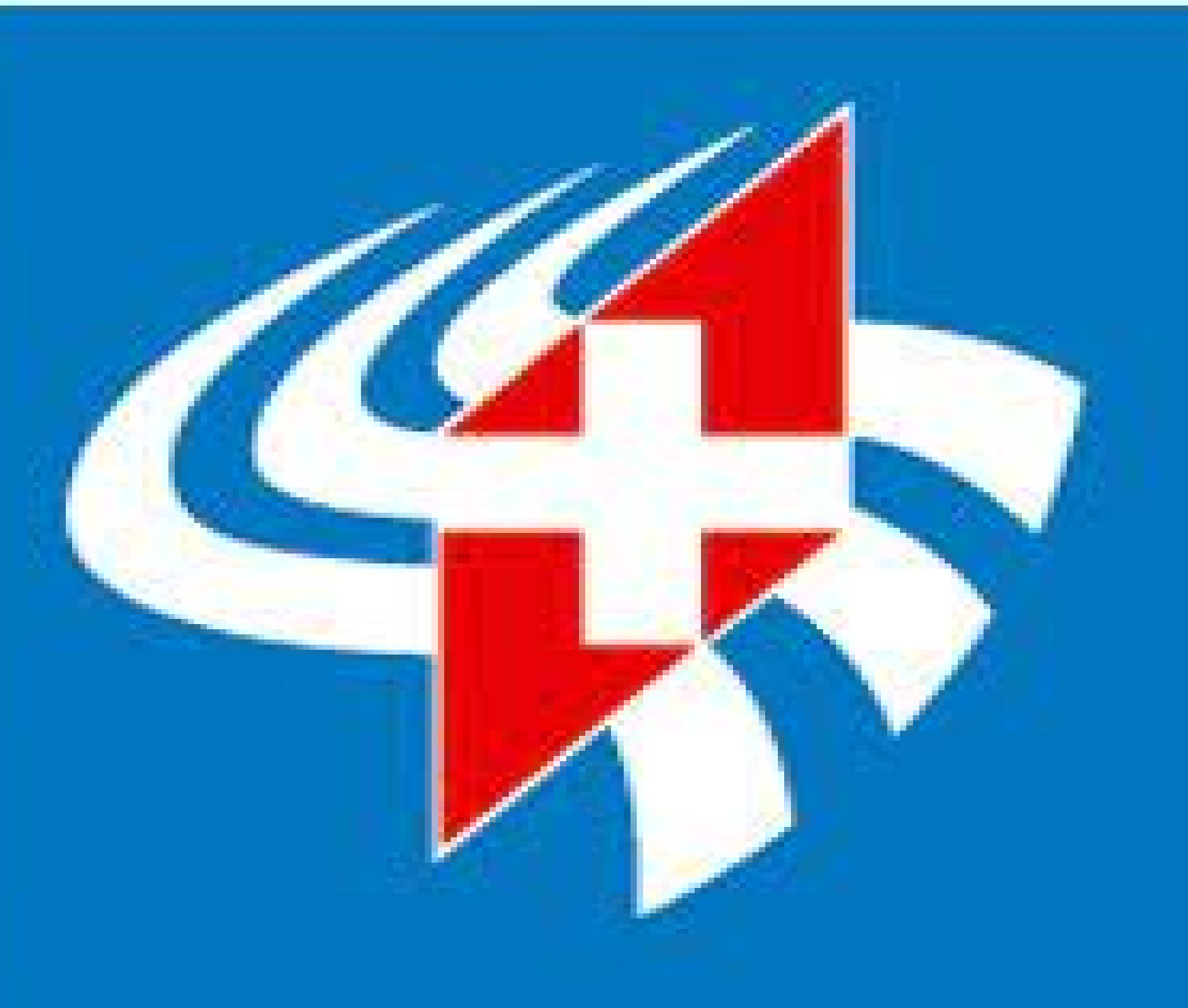 Swiss Snowsports