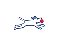 Debrunner Koenig AG