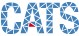 Lehrstuhl für computergestützte Analyse technischer Systeme