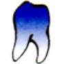 Filipendin Dental-Labor GmbH