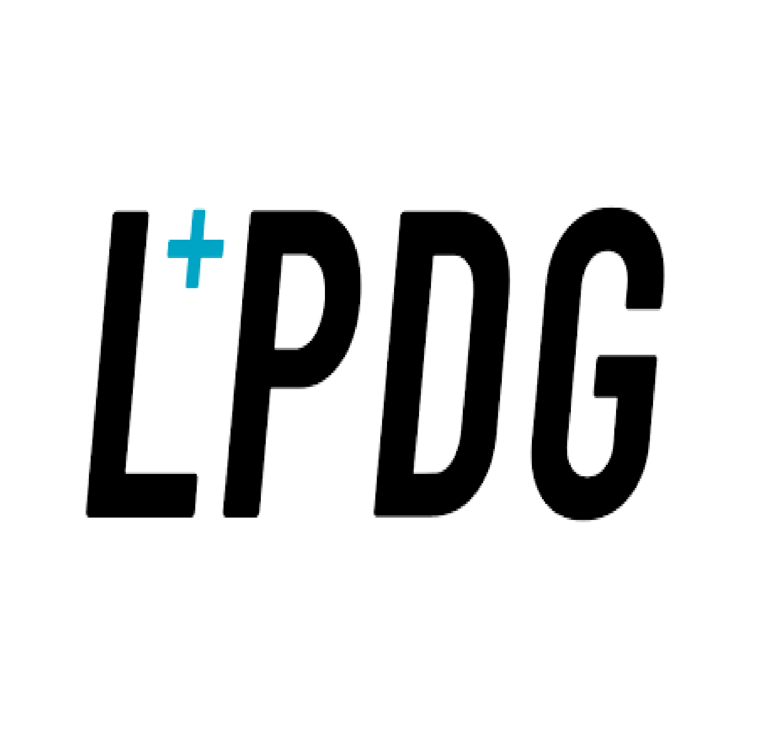 LPDG Lehmann + Pioneers Digital GmbH