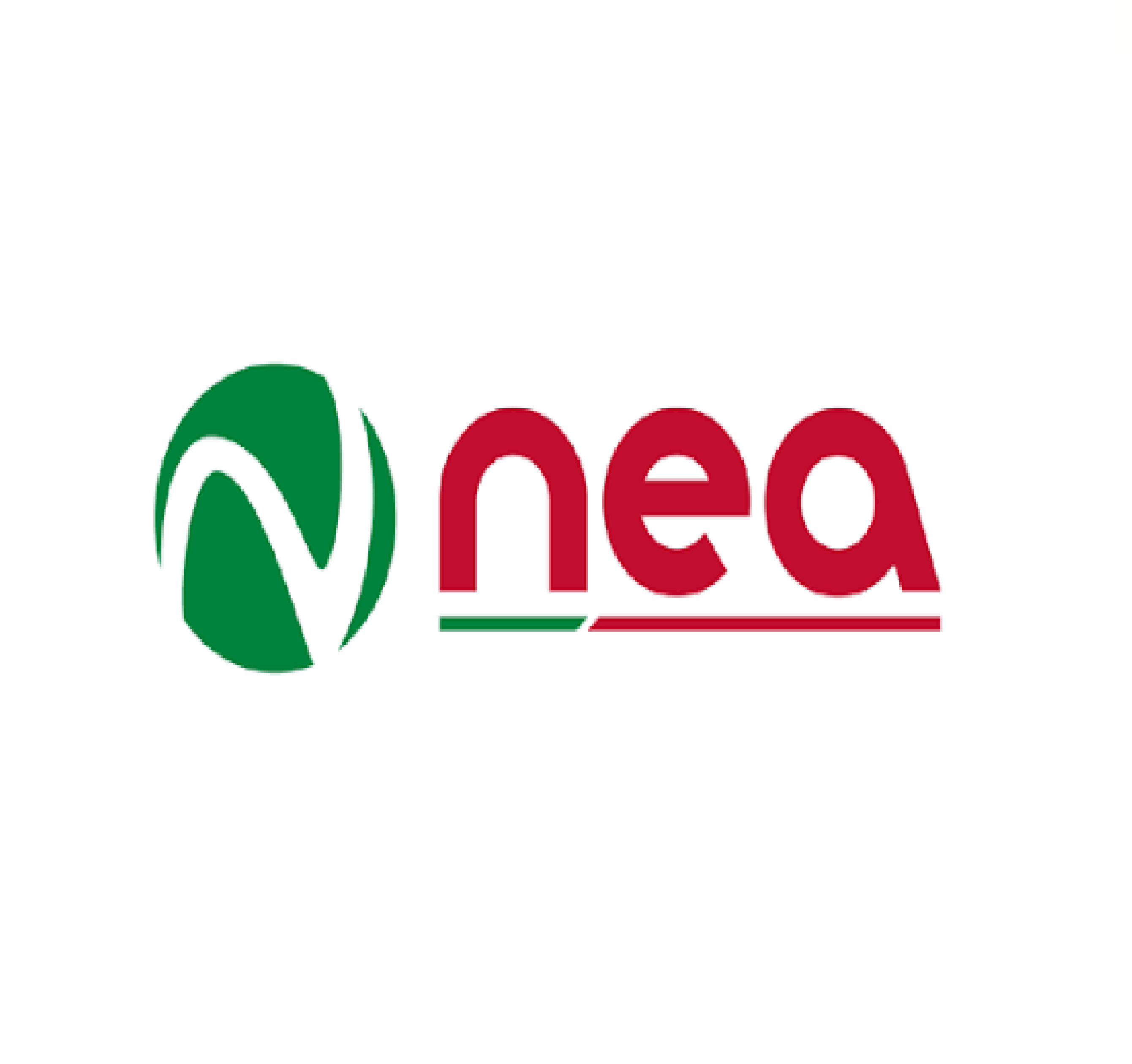 NEA F3 Ibérica, S.L.U. & NEA Grupo