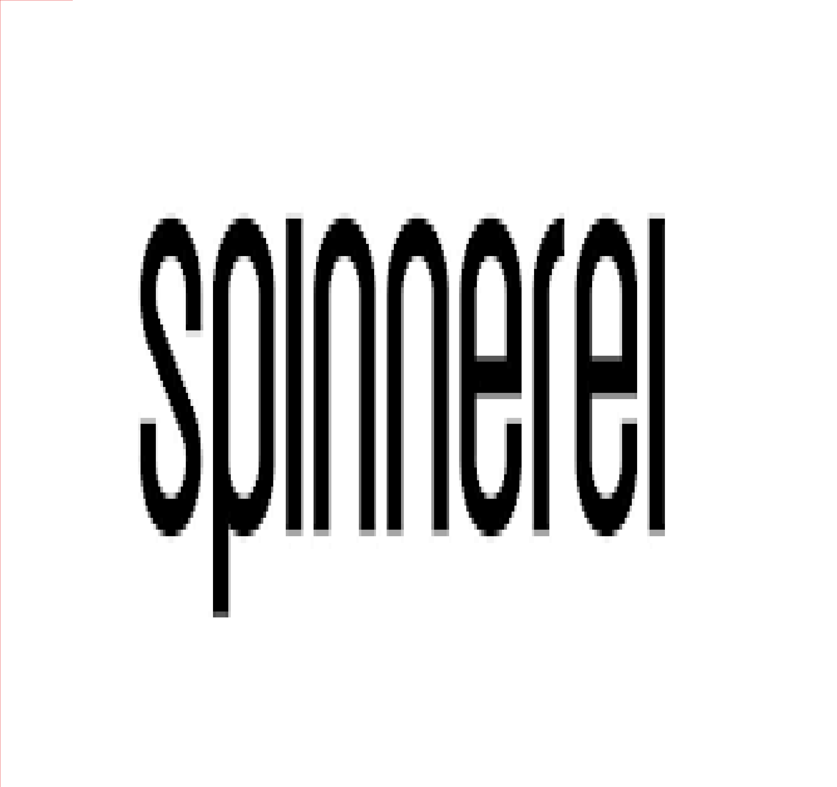 d'Spinnerei GmbH