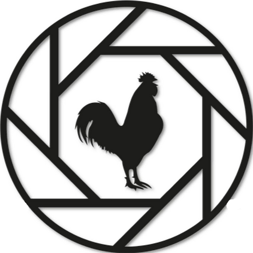 FotoGallo GmbH