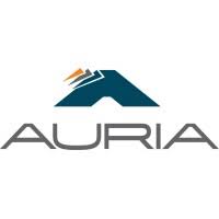Auria Solution GmbH