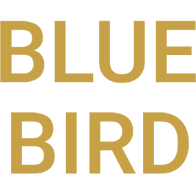 Bluebird Equity Partners AG