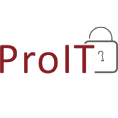 Pro IT-Service UG