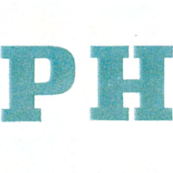 Papier Horgen AG