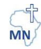 Mission am Nil International