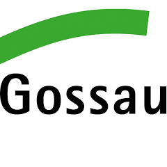 Stadtverwaltung Gossau Informatikdienst