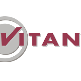 Vitan Treuhand GmbH