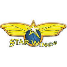 Starwings Basket Regio Basel