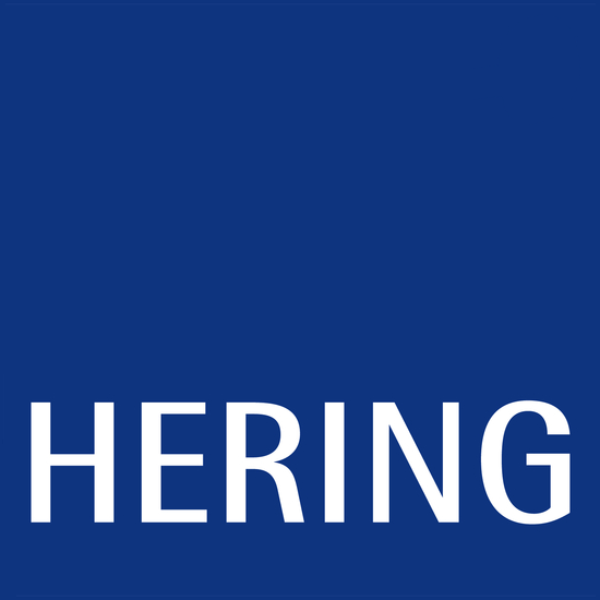 Hering Bau GmbH & Co. KG