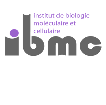 I.B.M.C Strasbourg