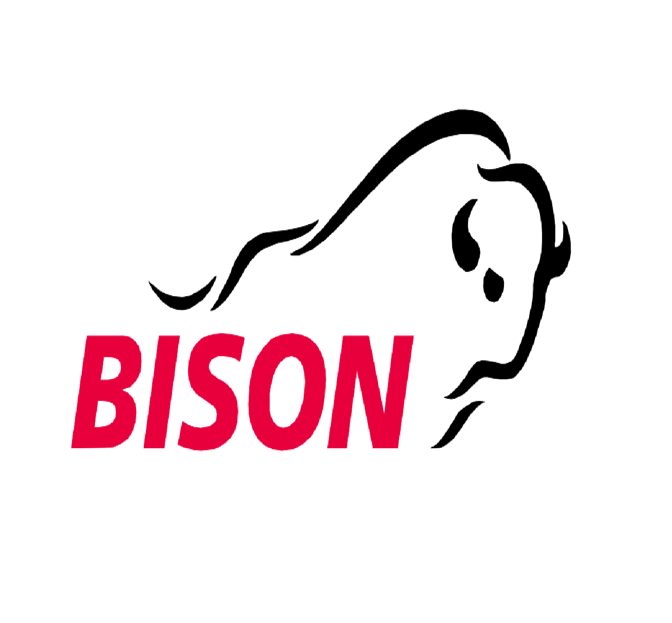 Bison Holding AG