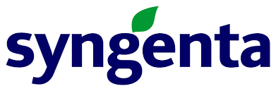 Syngenta Stein