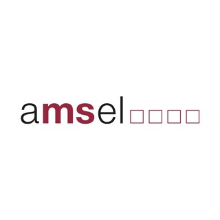Amsel GmbH