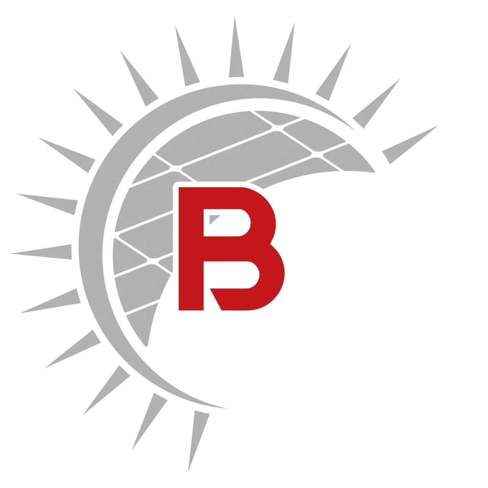 Buchauer GmbH & Co