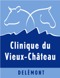 Clinique du Vieux-Château Grands Animaux
