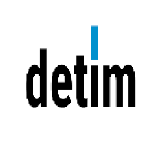 Detim IT Consulting