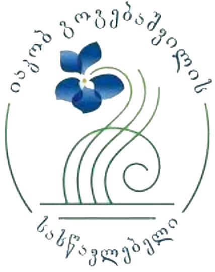 Iakob Gogebashvili Kiketi School