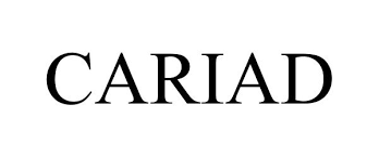 Cariad SE