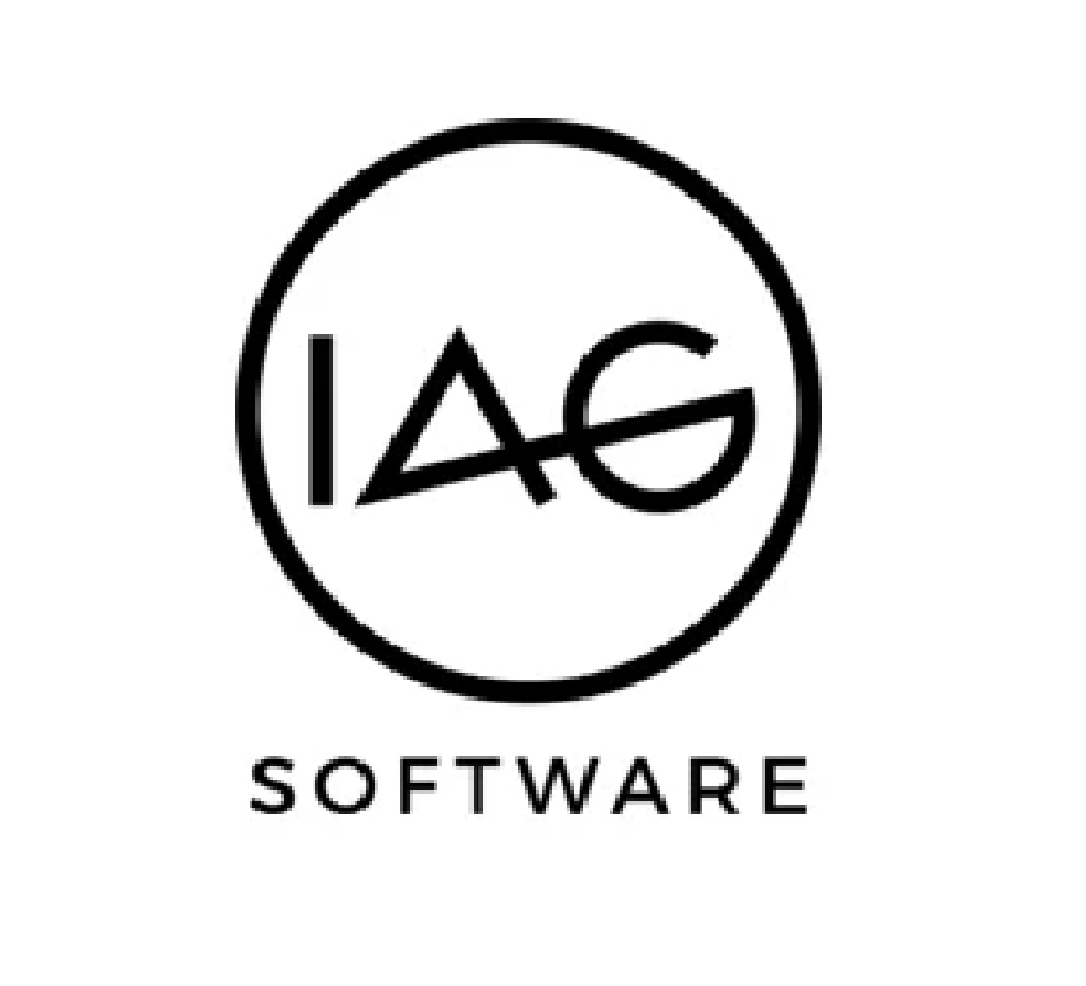 I-AG Wirtschaftsinformatik
