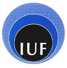 Institut Universitaire de France