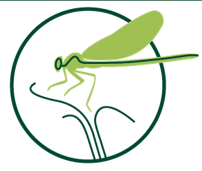 Stähli Naturgarten GmbH