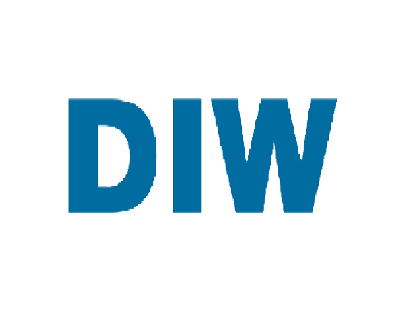DIW Service GmbH