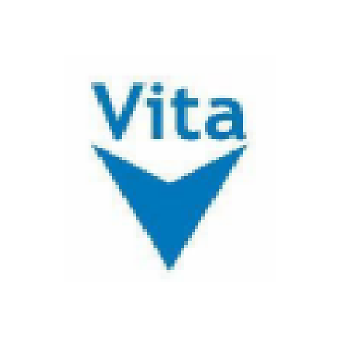 Vita Group