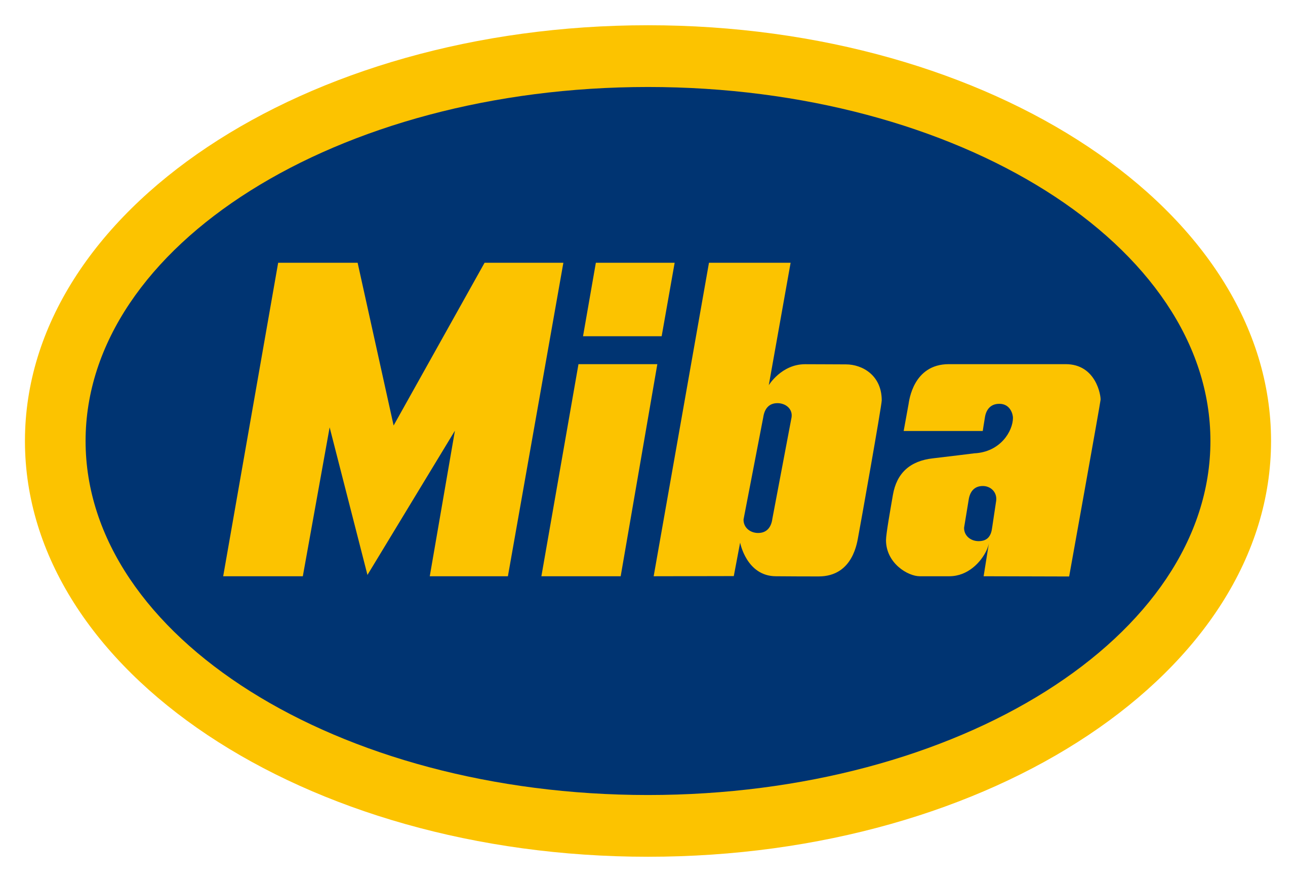 MIBA Gleitlager GmbH
