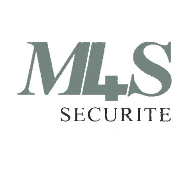 M4S