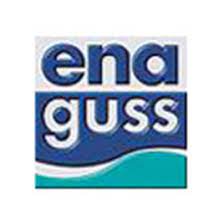 Ena-Guss GmbH