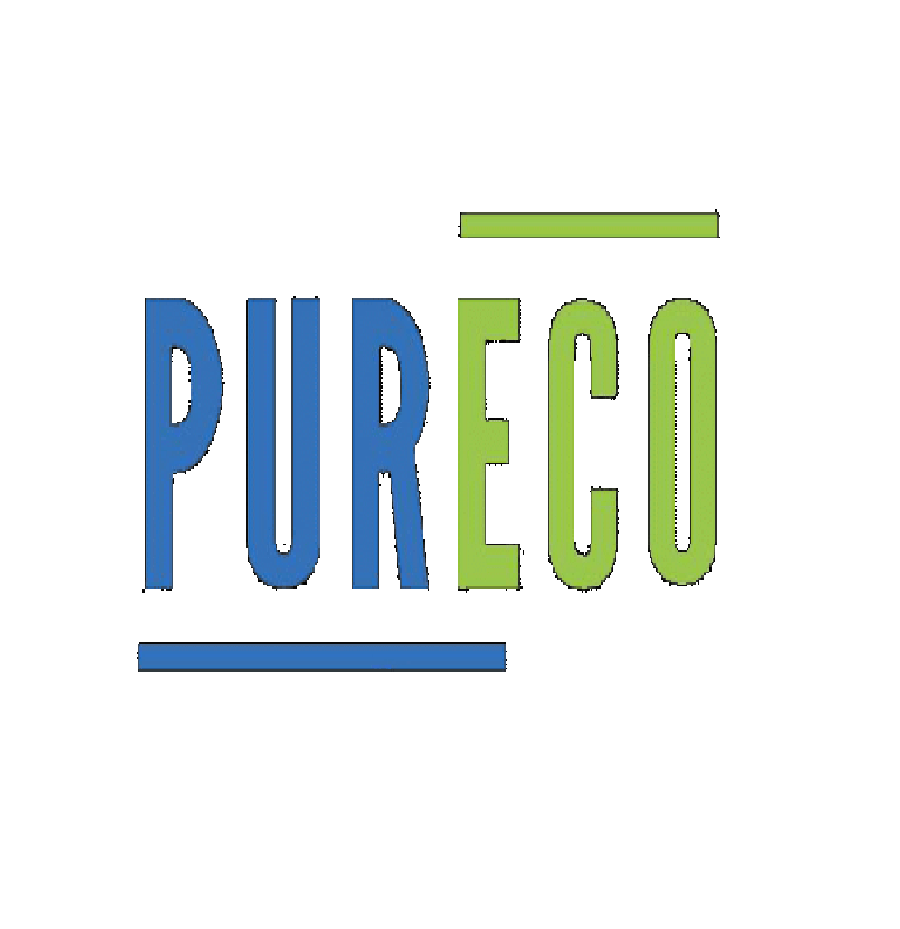 purEco LED AG