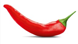 Chili GMBH