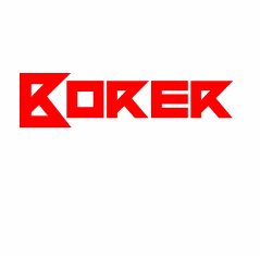 Borer Technik AG